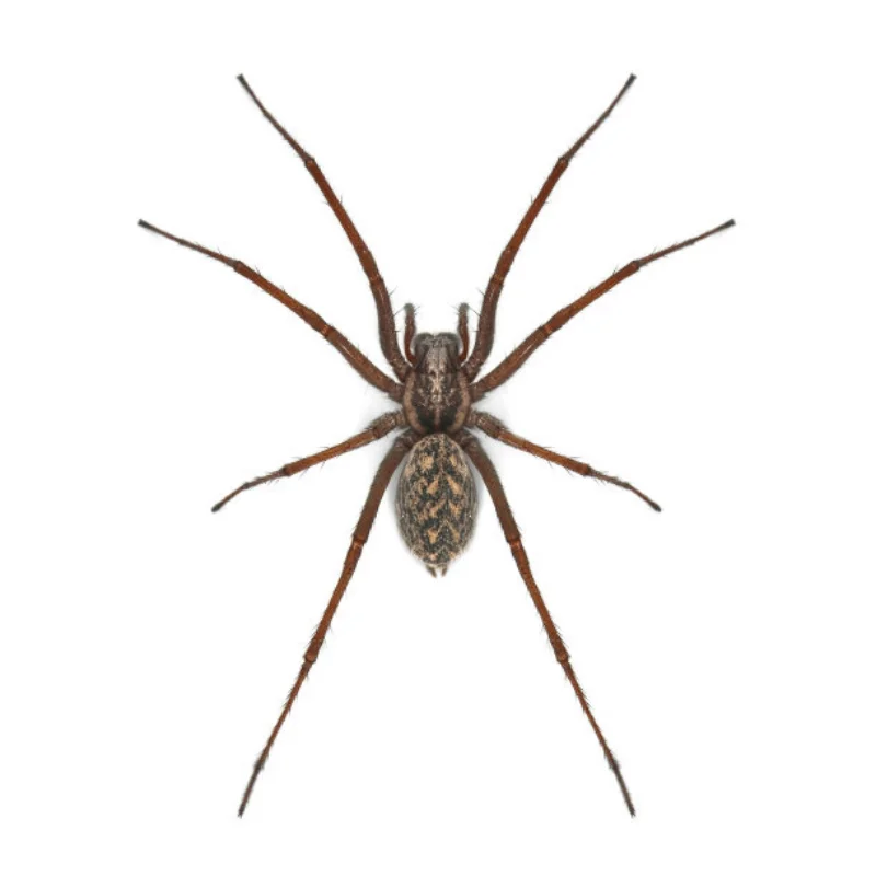 

Metal Transmitter Protector Frame YA-0711BK For Flysky Noble NB4 / NB4 Pro Remote Control