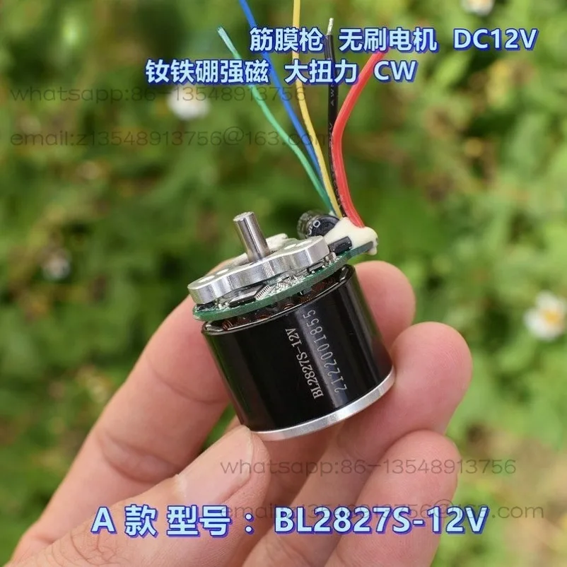 Fascia gun brushless motor DC12V NdFeB strong magnetic, high torque CW
