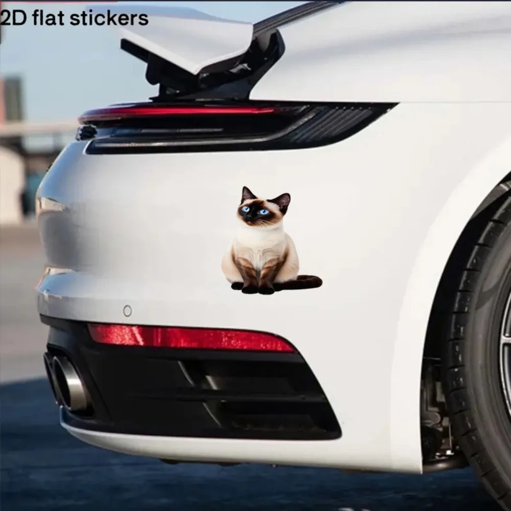 

A Collection of Three Flat Decorative Stickers Showcasing Adorable Cats And Playful Paw Prints Ideal for Vehicles Crafts