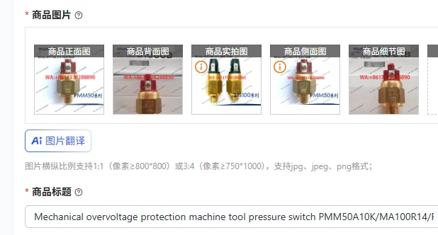 

Mechanical overvoltage protection machine tool pressure switch PMM50A10K/MA100R14/PMM50A14K