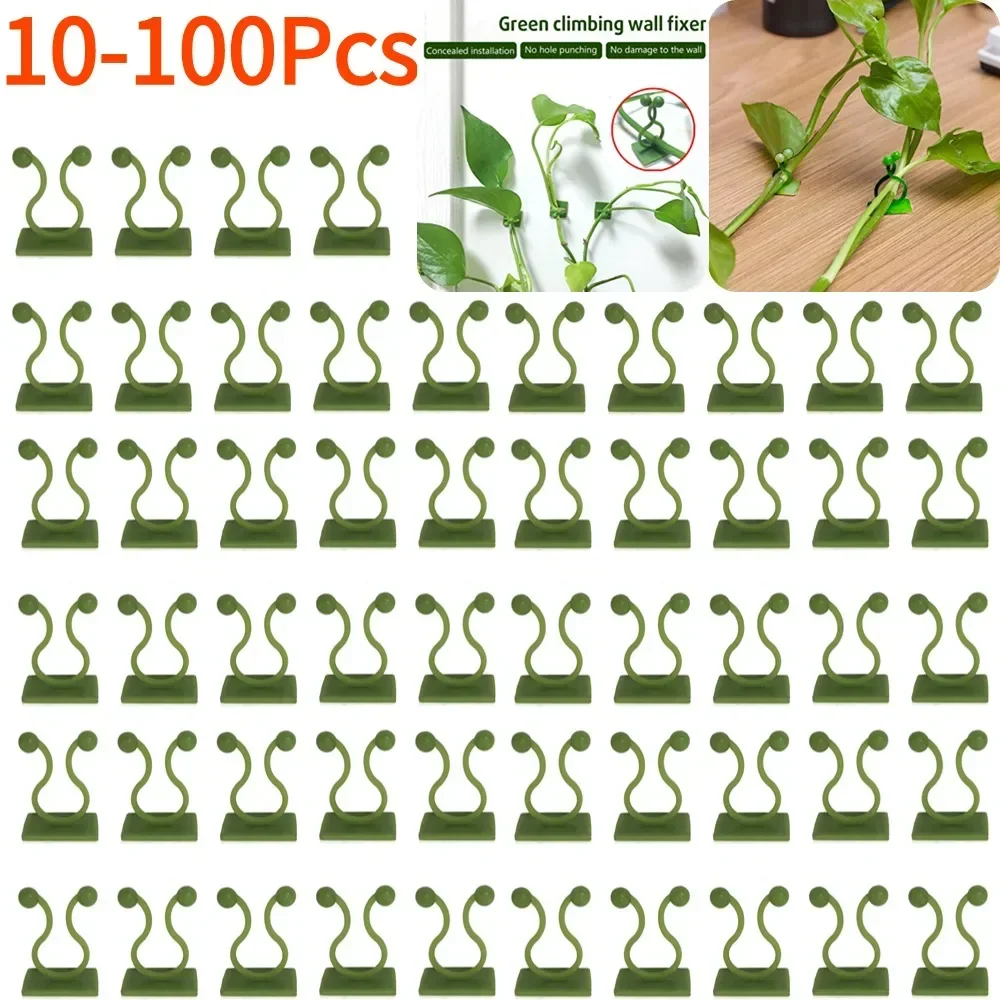 

Plant Climbing Wall Self-Adhesive Fixed Hook Fastener Tied Fixture Vine Hook Garden Plant Wall Climbing Vine Clips