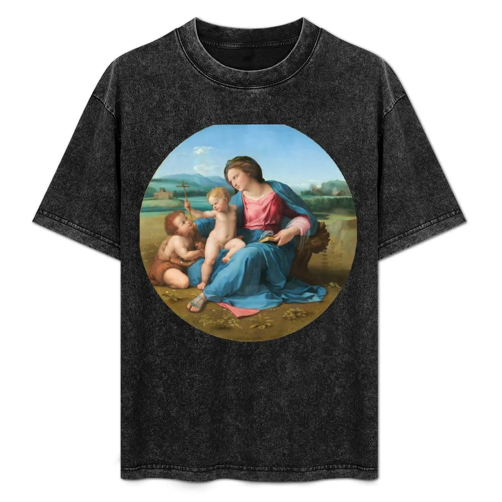 

Raphael - The Alba Madonna T-Shirt Basic Casual Wear Short Sleeve Top