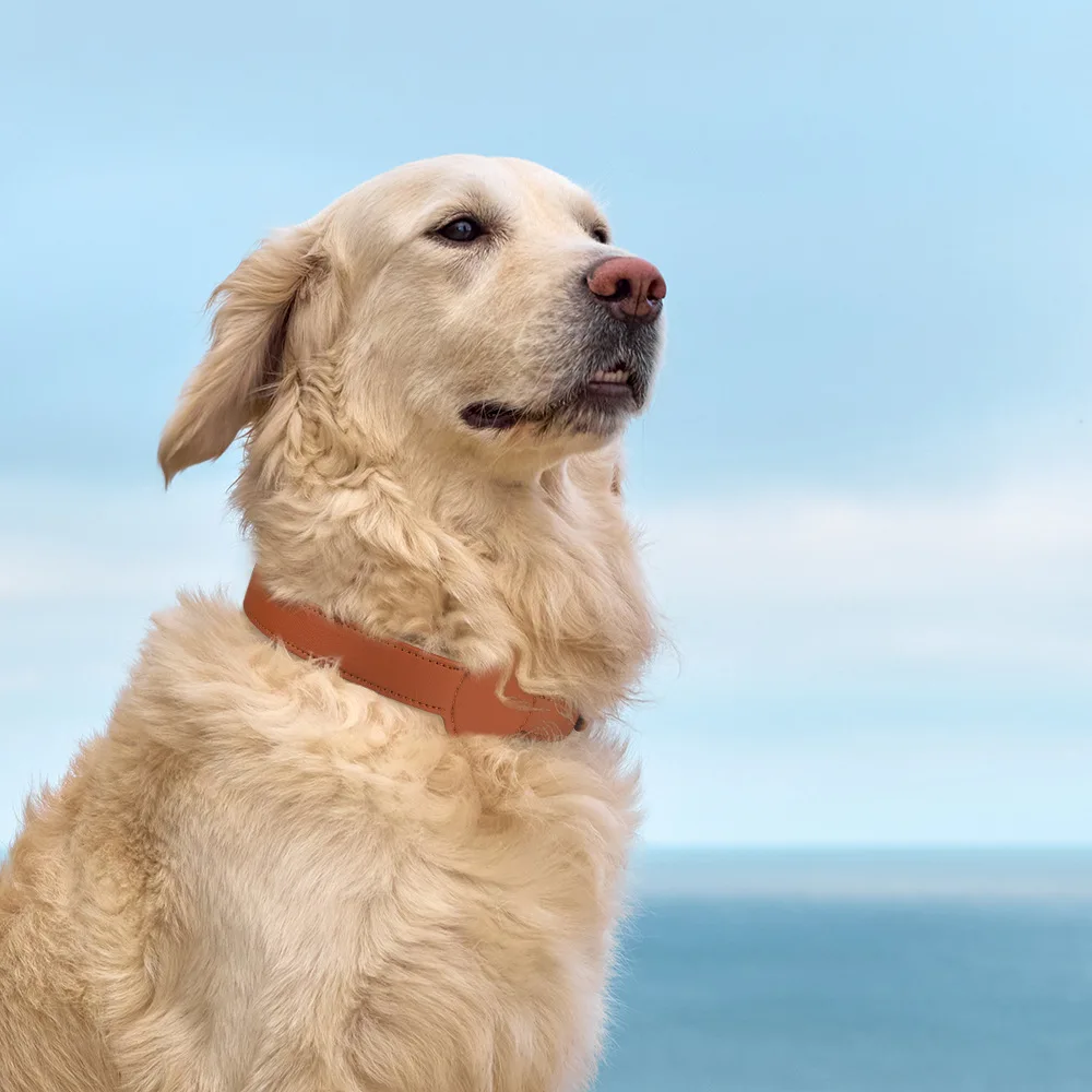 Für Apple Airtag Schutz Tracker wasserdicht Haustier Hund Anti-Lost Position ierung Silikon Pu Halsband Anti-Lost Haustier Katze Hunde halsband – Detail 16