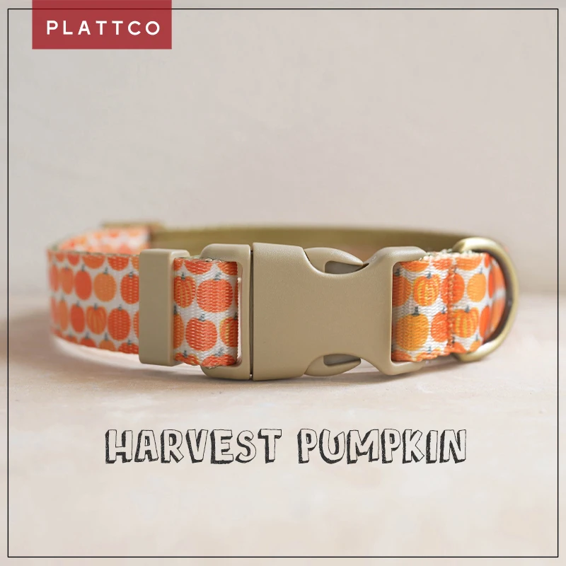 PLATTCO Personalized Orange Pumpkin Dog Collar and Leash Set Training Large Small Pet Leash Nylon Tough Harvest Pumpkin PDC367