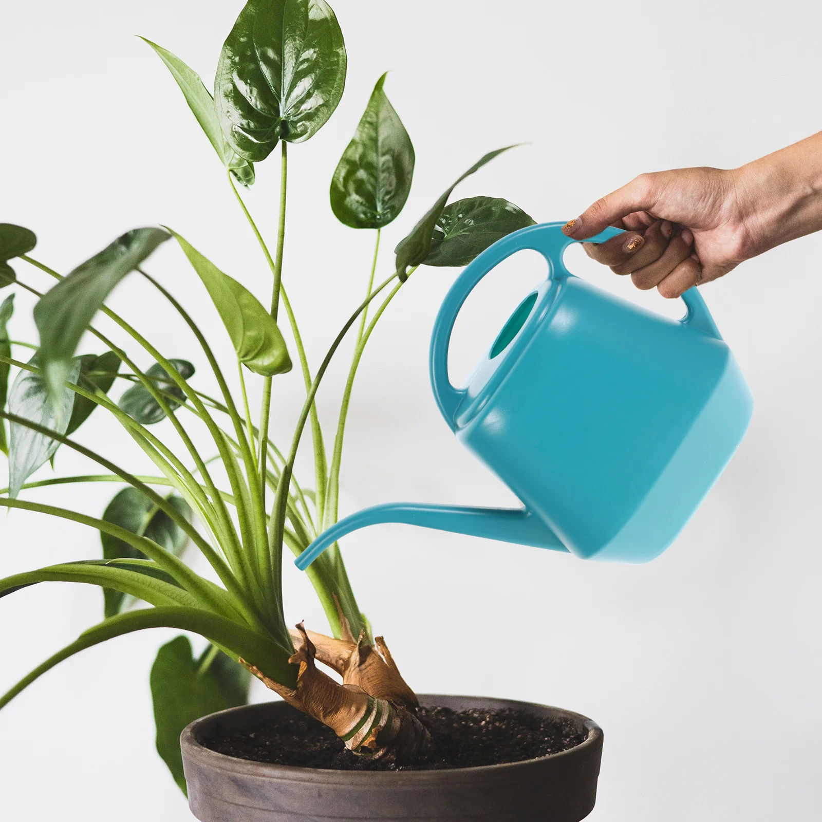 

Long Spout Watering Can Plastic Durable Lightweight Large Capacity Garden Tool For Indoor Outdoor Plants Flower Spray Pot