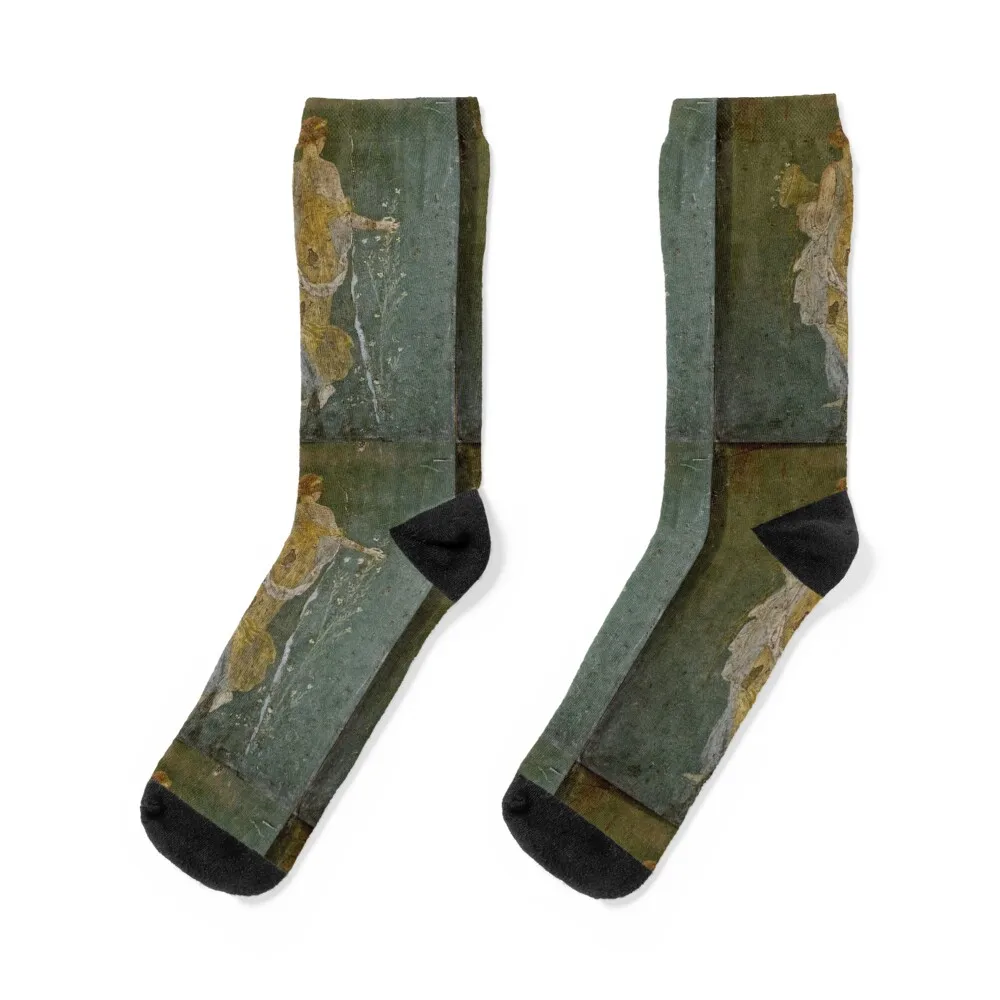 

Spring Pompeii Socks Climbing Men's Hiking boots funny sock Girl'S Socks Men's