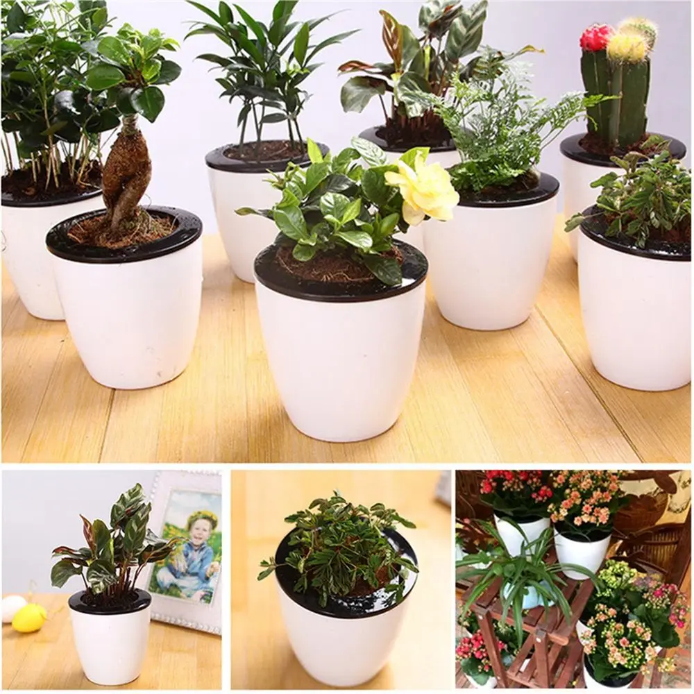 

Round Automatic Desktop Decoration Self Watering Garden Supply Planter Home Decor Plants Basket Flower Pots
