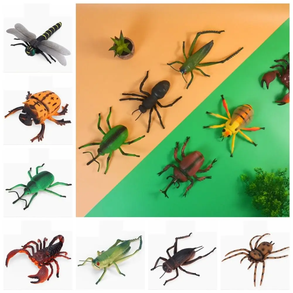 

Funny Spiders Simulated Insect Model Cricket Simulation Simulation Wildlife Model Grasshopper Insect Model Animal Collection