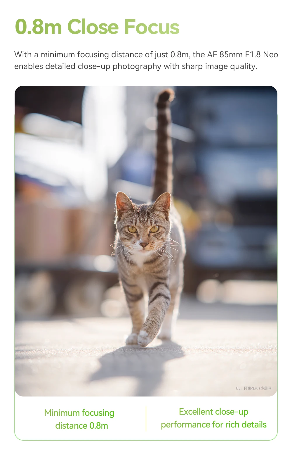 TTArtisan 85mm F1.8 NEO Vollformat-Autofokus-Porträtobjektiv für Leica Sigma L Sony E FE Nikon Z A7C A7R A7M A7S Z6 Z7 Z6III – Detail 15