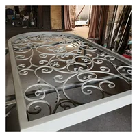 Custom Wrought Iron Double Front Door Steel Glass Doors 2