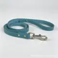 blue leash