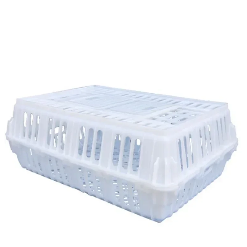 75x55x27 Cm Chicken Cage Plastic White Orange Yellow Poultry Chicken Duck Goose Pigeon Turnover Box Cage