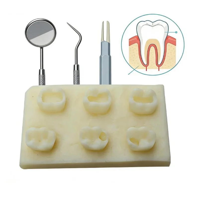 1pcs Dental Fillings Root Canal Filling Inlay Resin Module 6 Teeth Resin Block Practice Model Dental Training Resin Block Model