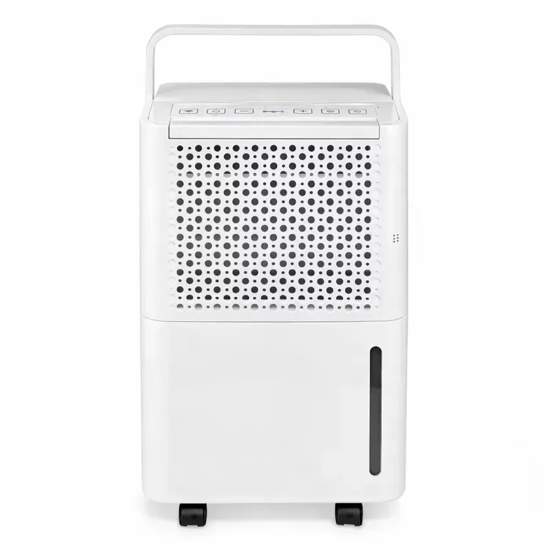Portable Electric Dehumidifier 2L Tank Compressor Type 10L Day Household Electronic Control for 15-20 Square Meters Area