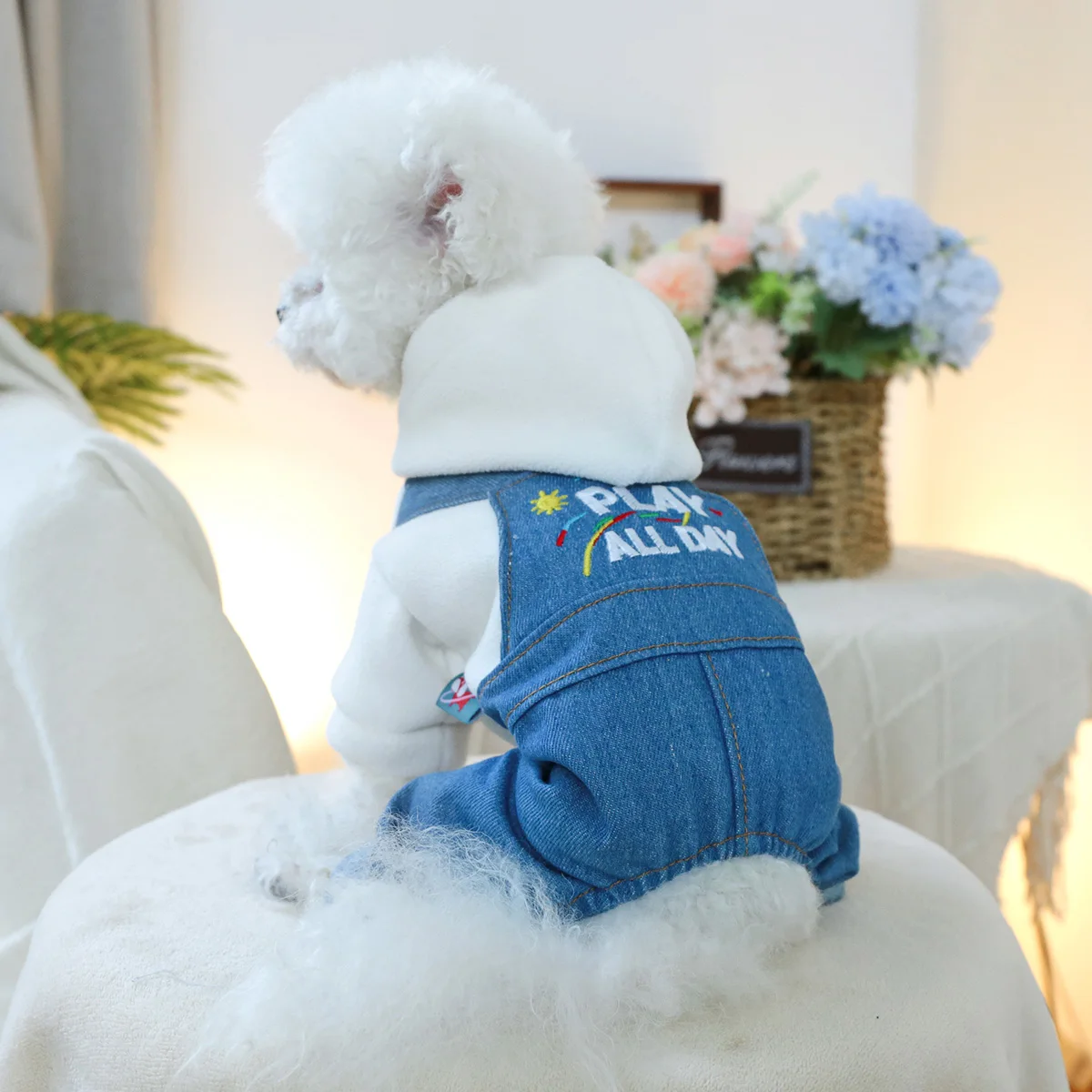 1PC pet clothing dog Spring and Autumn handsome wild child hat four-legged suspenders suitable for small and medium sized dogs