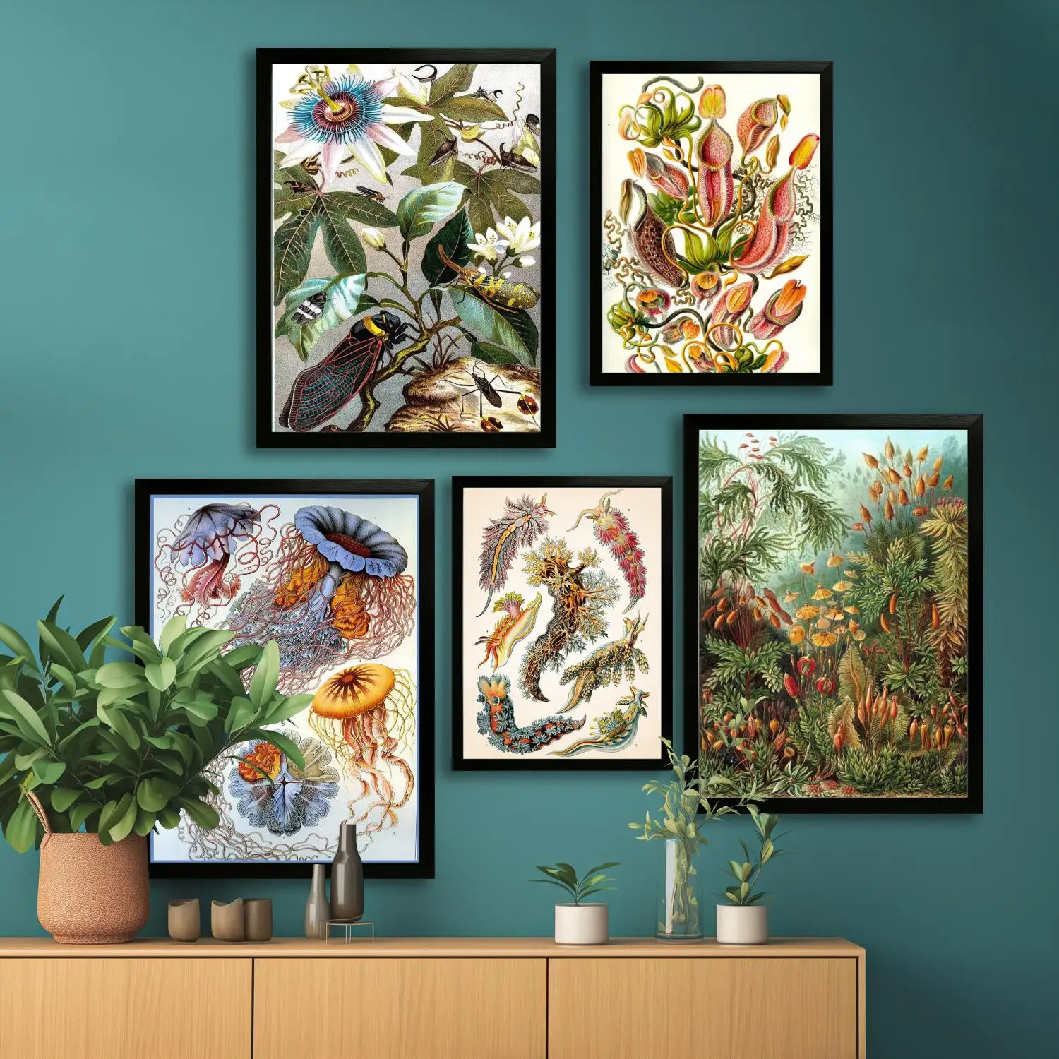 haeckel Canvas Art Poster and Wall Art, Picture Print, Modern Family Bedroom Decor, Posters,Decorative painting