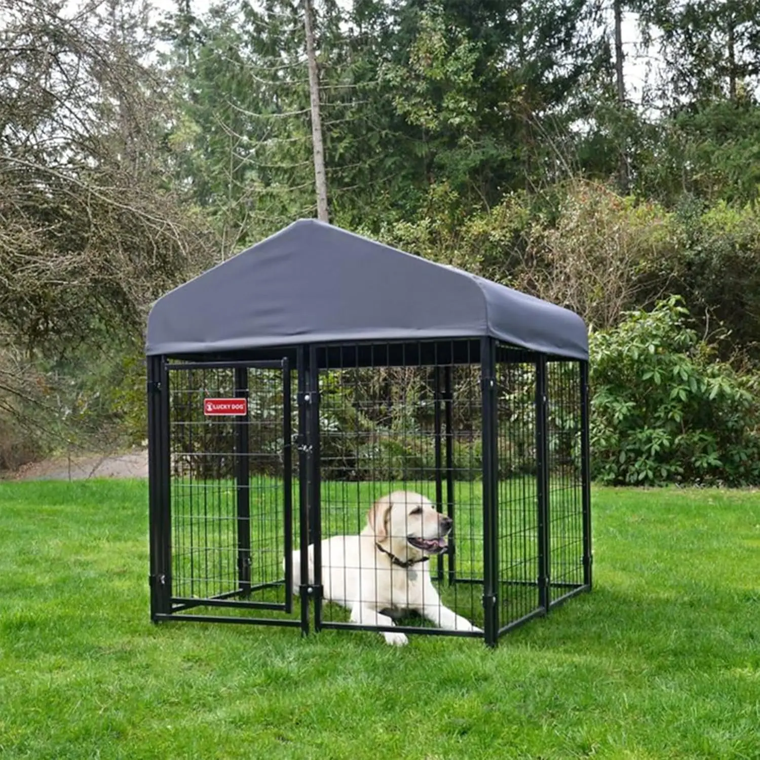 Stay Series Studio Jr. Kennel Premium Design Waterproof and UPF 50+ Canopy Cover All-Steel Frame 4'W x 4'L x 4'4