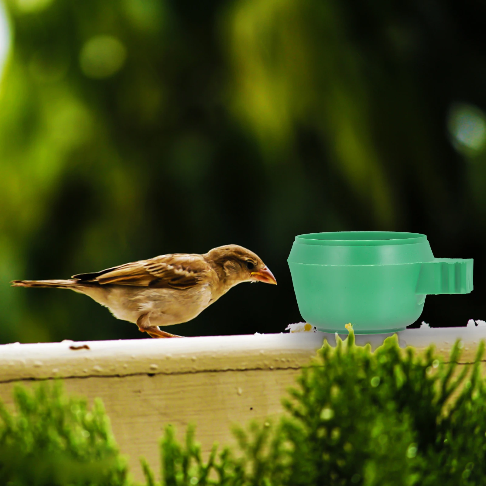 

15 Pcs Food Trough Bowl Bird Cage Feed Container Parrot Eating Dishes for Bowls Feeding Myna Drinking