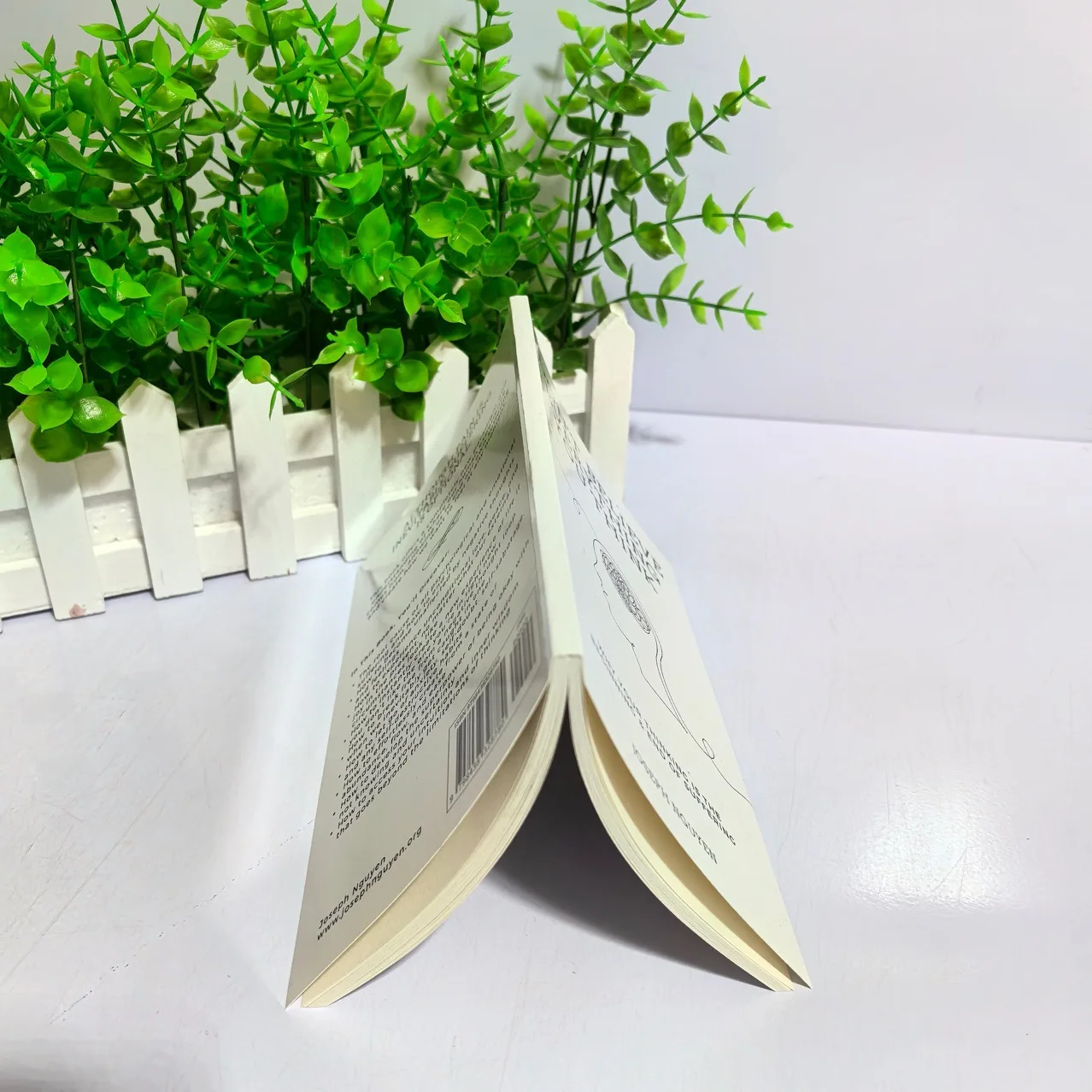 Английская версия «Не верьте все, что вы думаете Джозеф Nguyen» Почему ваше мышление начинается и конец осушения ﻿