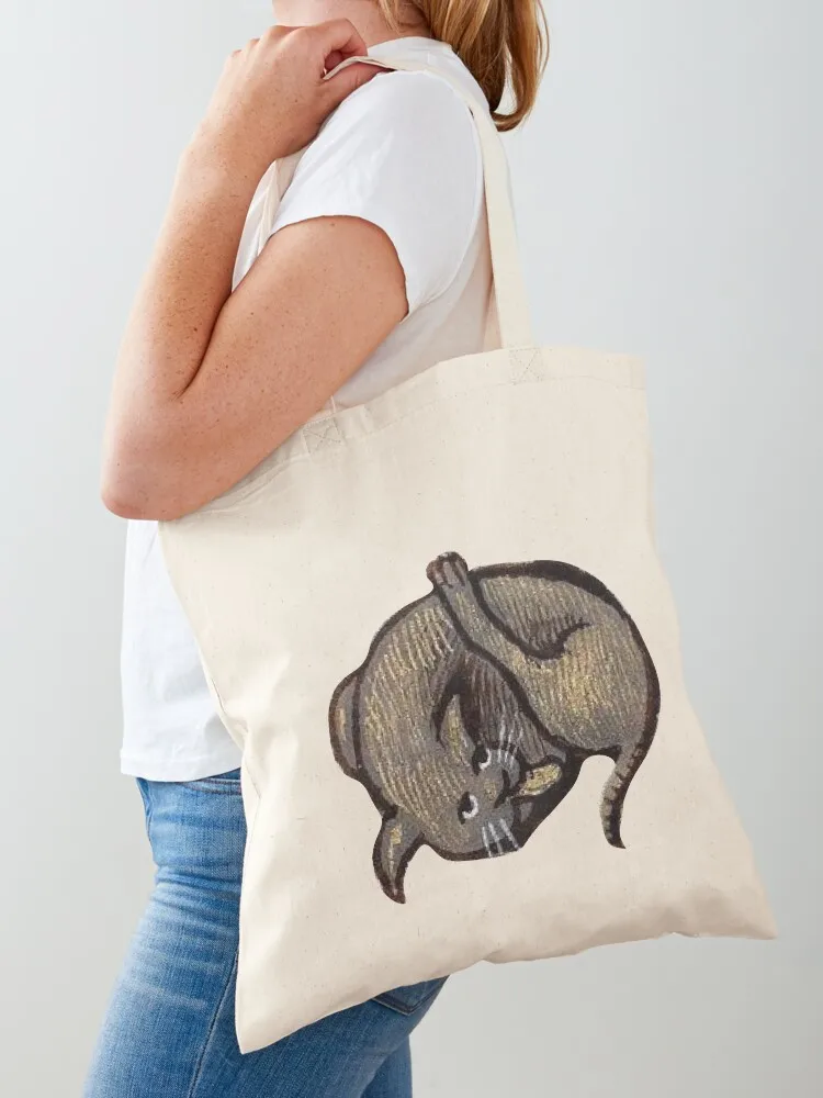 

Medieval cat meme Tote Bag sac pour femme cute tote bag shopping bags foldable tote bags aesthetic