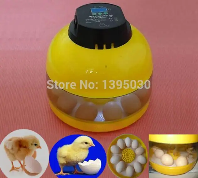 

Вместимость для куриных яиц 10, инкубатор для птиц, подставка для яиц, лоток с автоматическим интеллектуальным управлением, инструмент для инкубации перепелиных попугаев