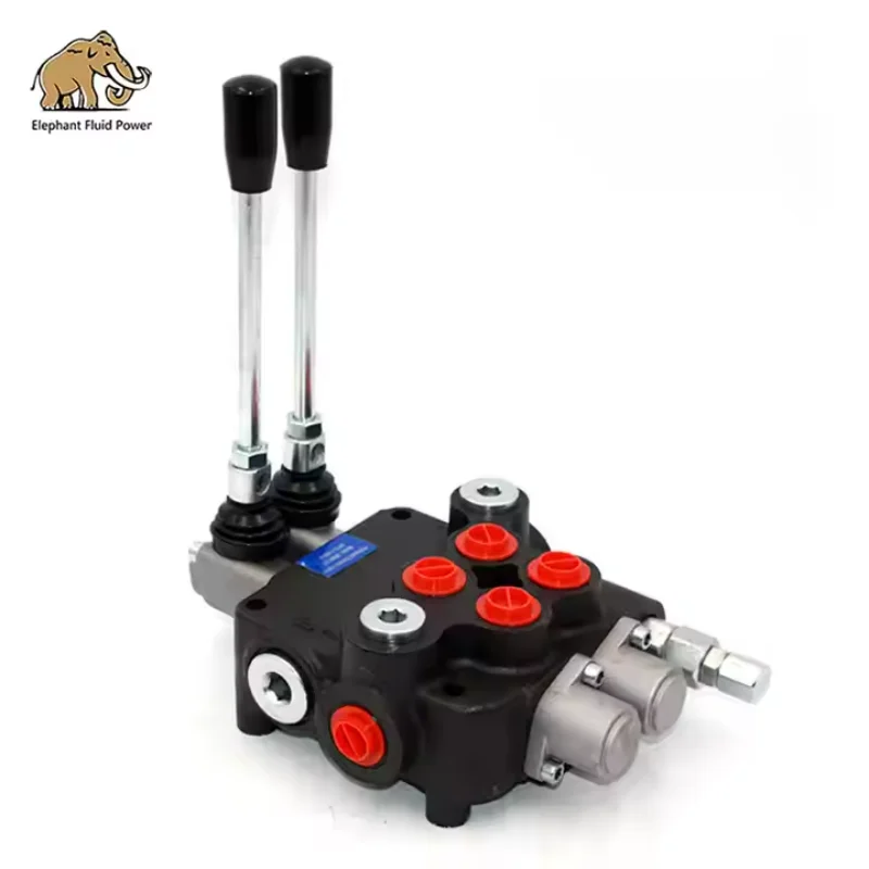 

80L 2 Handle hydraulic directional control valve 2P80