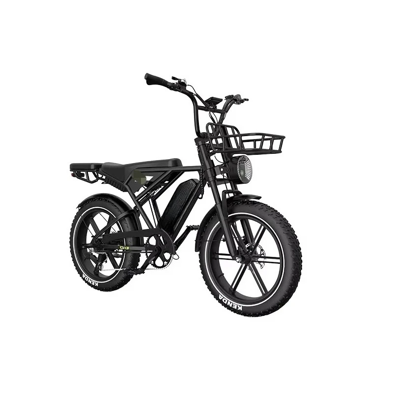 

750w 50 km/h 20 inches fat tires electric bike Ebike electric bike fat bike