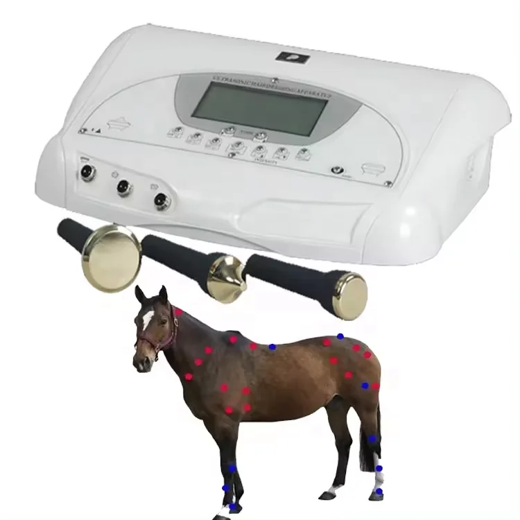 

Ultrasound Therapy Machine For Animal Veterinary Health Rehabilitation Devices