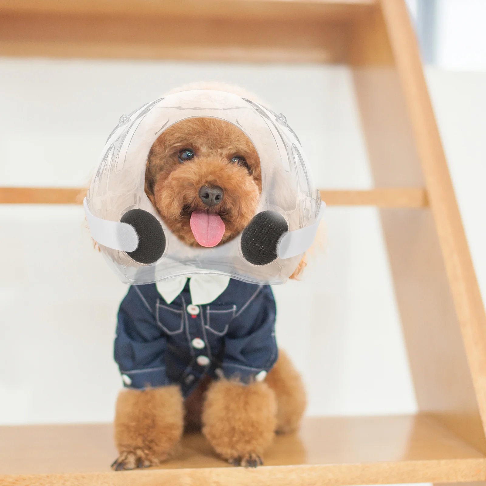 

Cat Transparent Soft Breathable Anti Bite Recovery Comfortable Protective Hood for Cats Prevent Chewing Hood