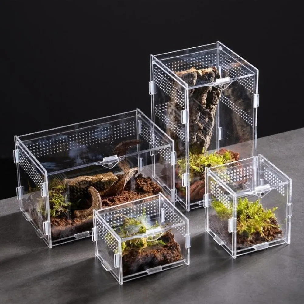 Terrario de Acrílico Resistente para Reptiles, Caja de Alimentación Transparente Anti-Escape para Arañas, Caja de Cría para Lagartos Arbóreos de Varios Tamaños, para Camaleones