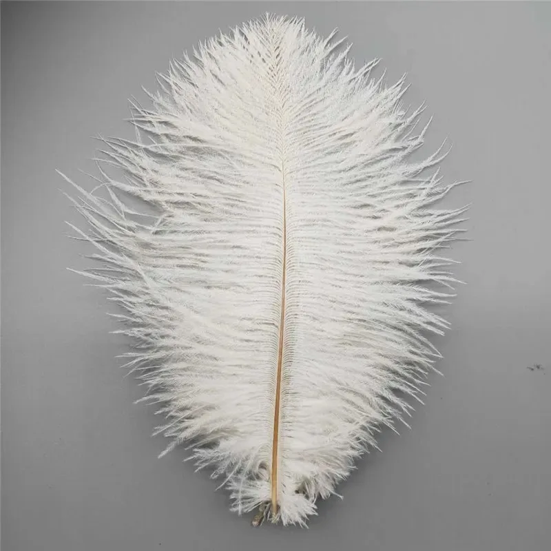 100Pcs/Lot Colored Ostrich Feathers for Crafts Wedding 25-30cm Handicraft Accessories Table Centerpieces Carnival Plumas Decor