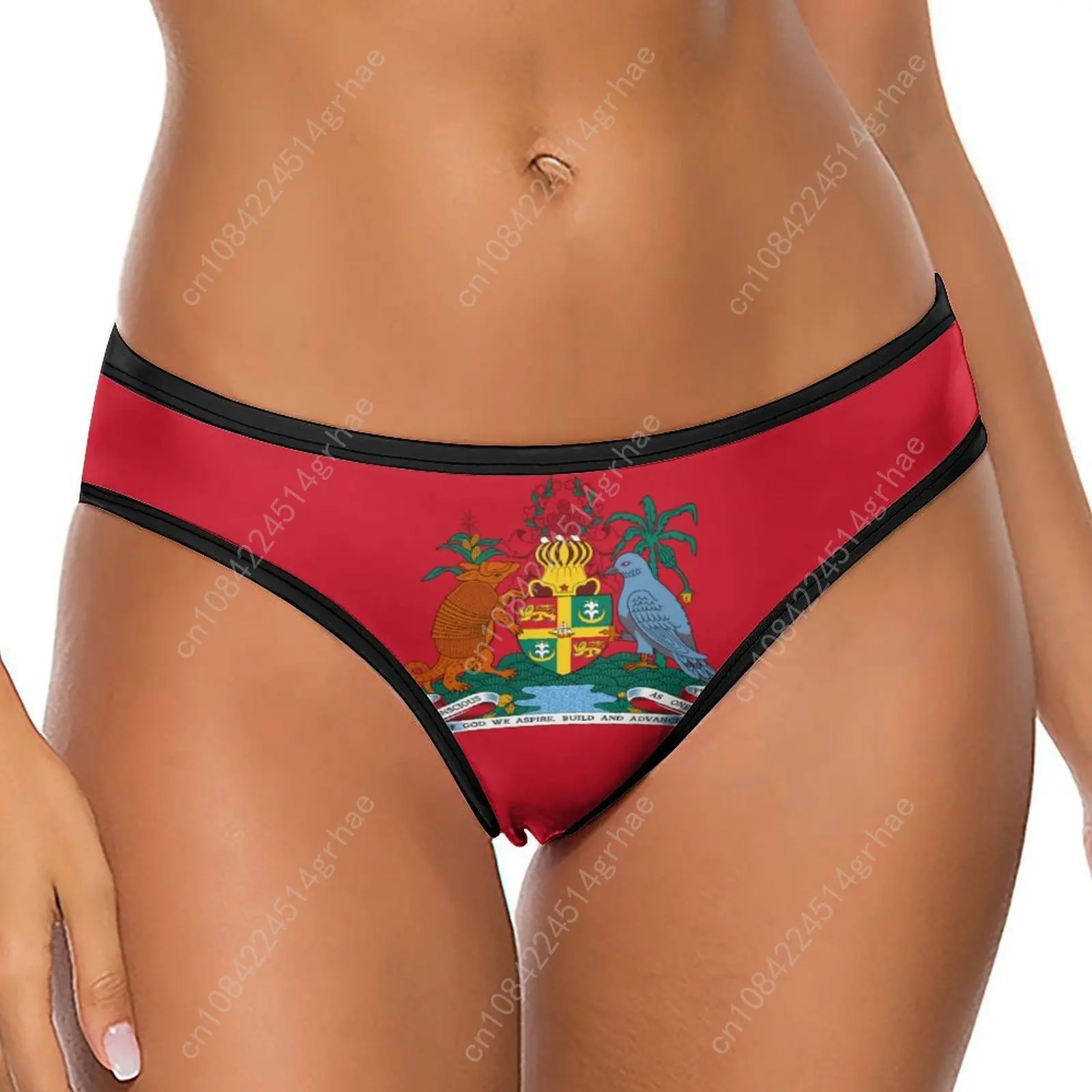 Grenada Flag Customized Ice Silk Thong Panties Women's Briefs Soft Comfortable Sizes S-2XL Suitable Wear and All Seasons