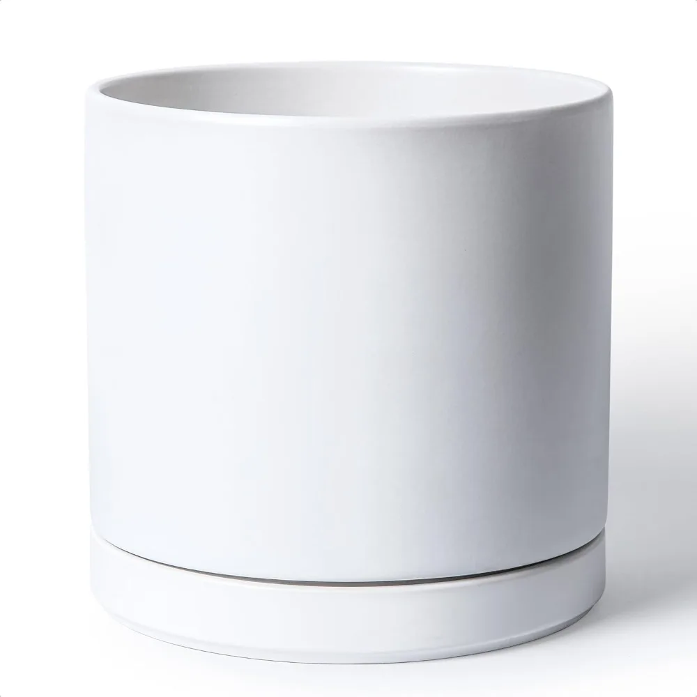 12 Inch Ceramic Pla…