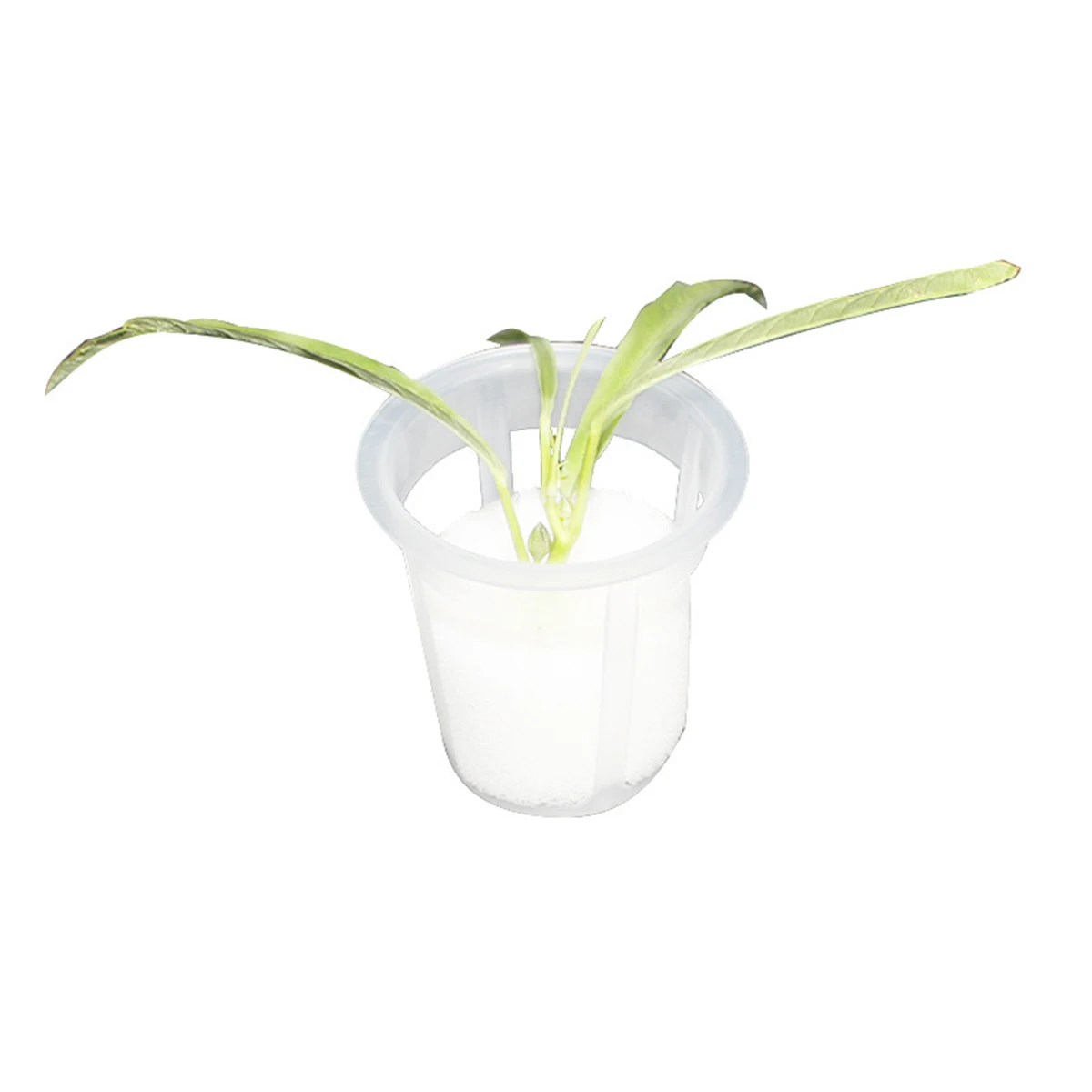 50X Low-Profile Net Cup with Embedded Sponge for Compact Vertical Farming and Space-Efficient Soilless Growing