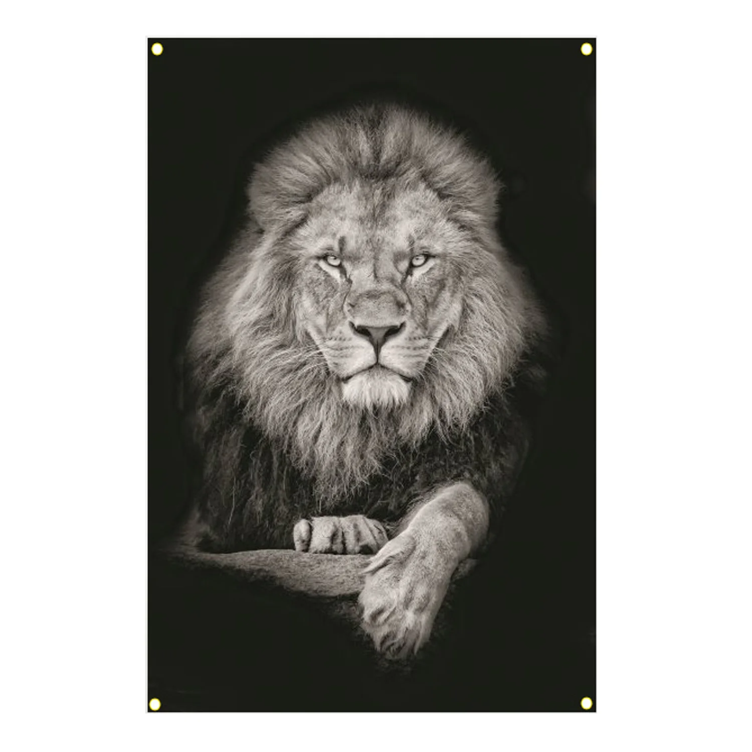 

Front lion with picture and flag,sofa background, interior decoration painting, 600d4 buckle, 100 * 150cm