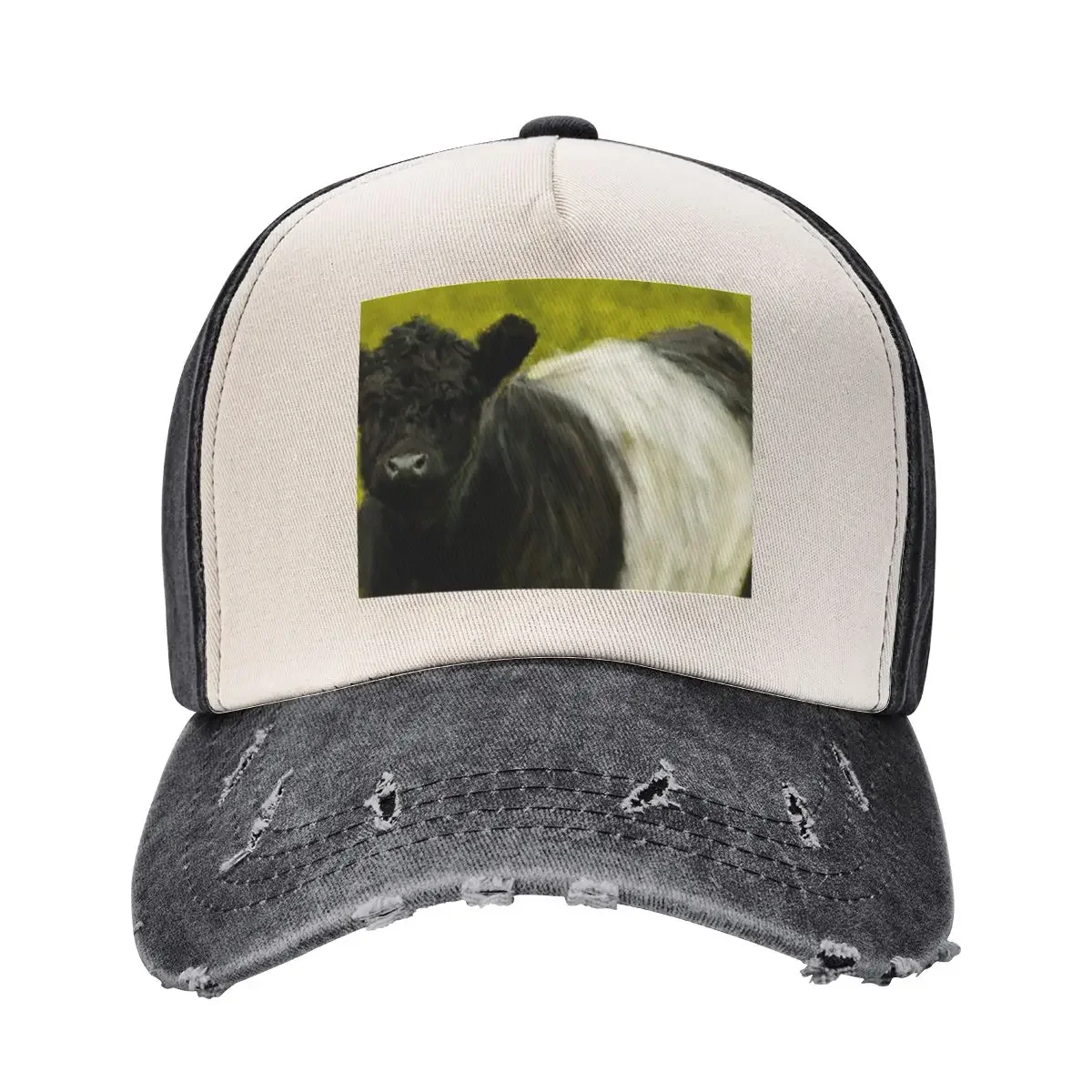 Belted Galloway Cow, Cute Farm Animal, Belted Galloway Cattle Oil Paint, Scottish Belted Galloway Cattle Baseball Cap