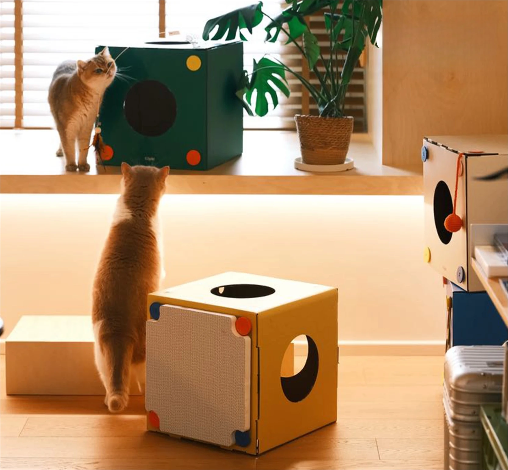 ZHAYA Multi Function Cat Nest Play Rest Combo Scratcher All Season Compact Size Kitten House Furniture Toy New Design Shelter