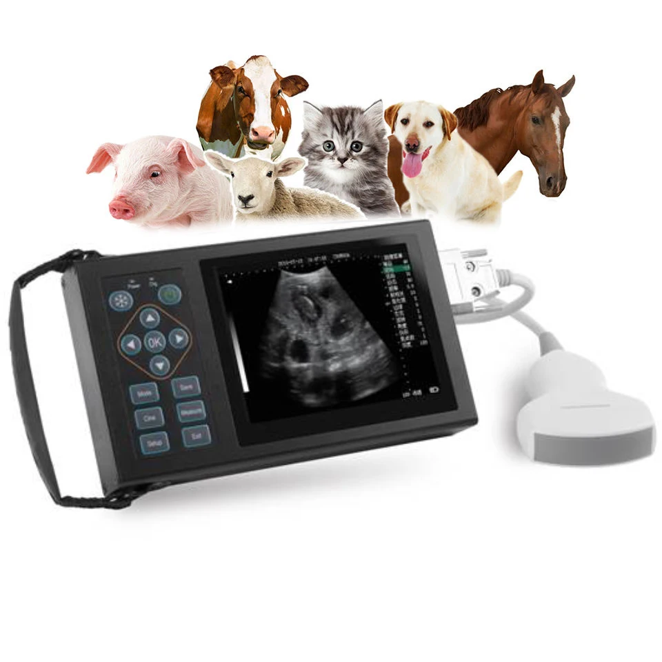 

RS Custom Veterinary Full Digital Ultrasonic Diagnostic Instrument Vet Animal Use Ultrasound Equipment