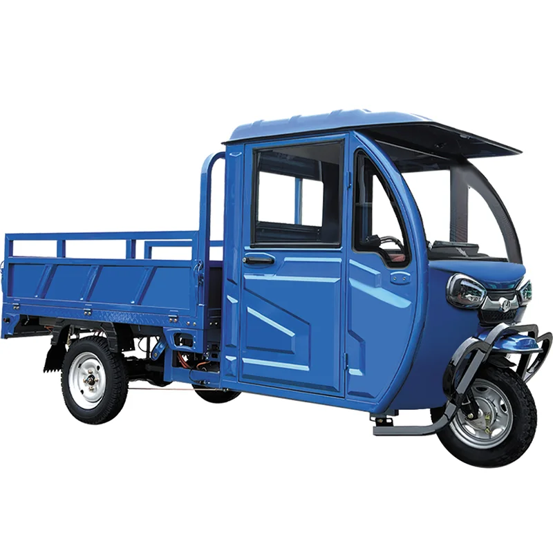 Satisfaction Guaranteed 800W Motor Cargo Tricycle with a Covered Cab for Farm Goods Transportation