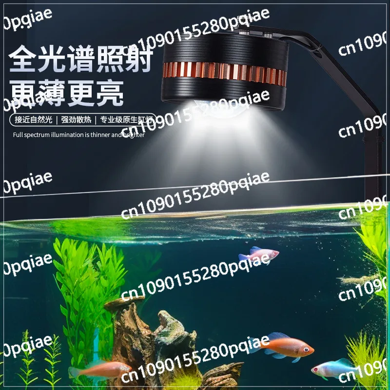 LED Original Ecological Tank Burst Algae Goldfish Moss Aquatic Plant Hair Color Full Spectrum Fish Light with Bracket