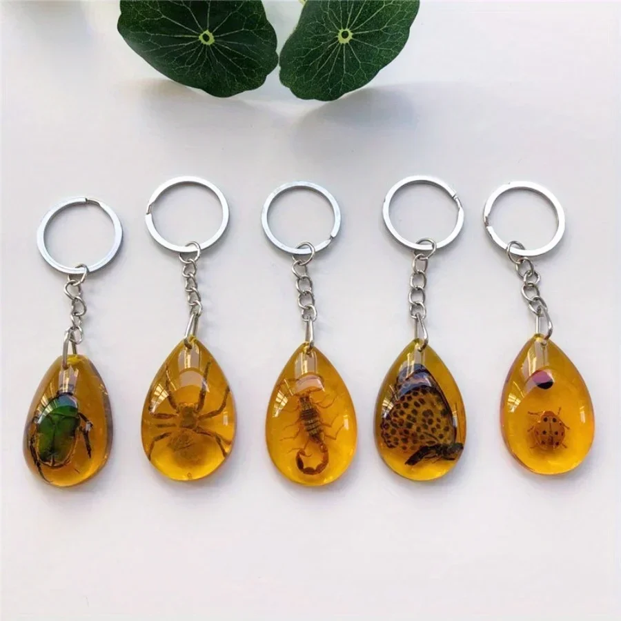 1PC Insect Specimen Amber Keychain Hanging Small Gift Car Key Bag Keychain Hanging Ornament