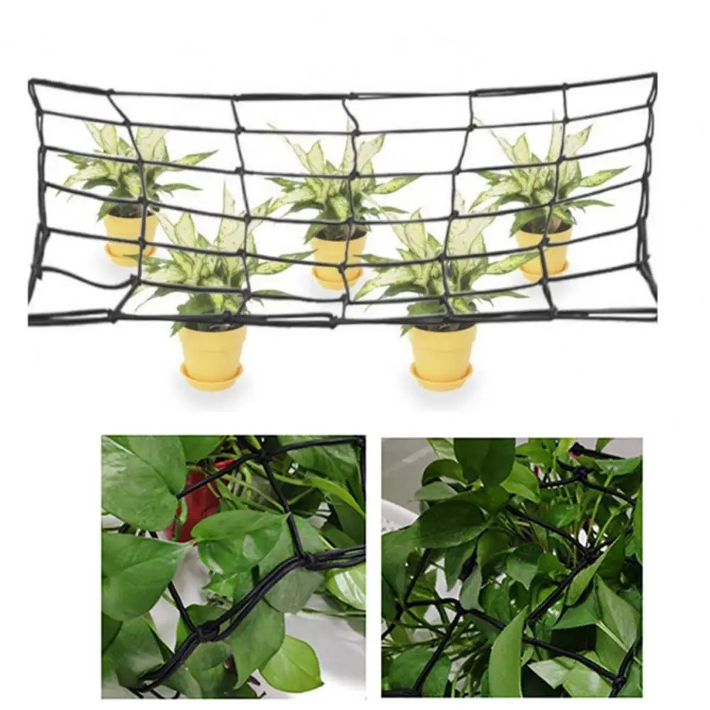 Che cos'è la rete scrog e perché è essenziale per il tuo giardino?