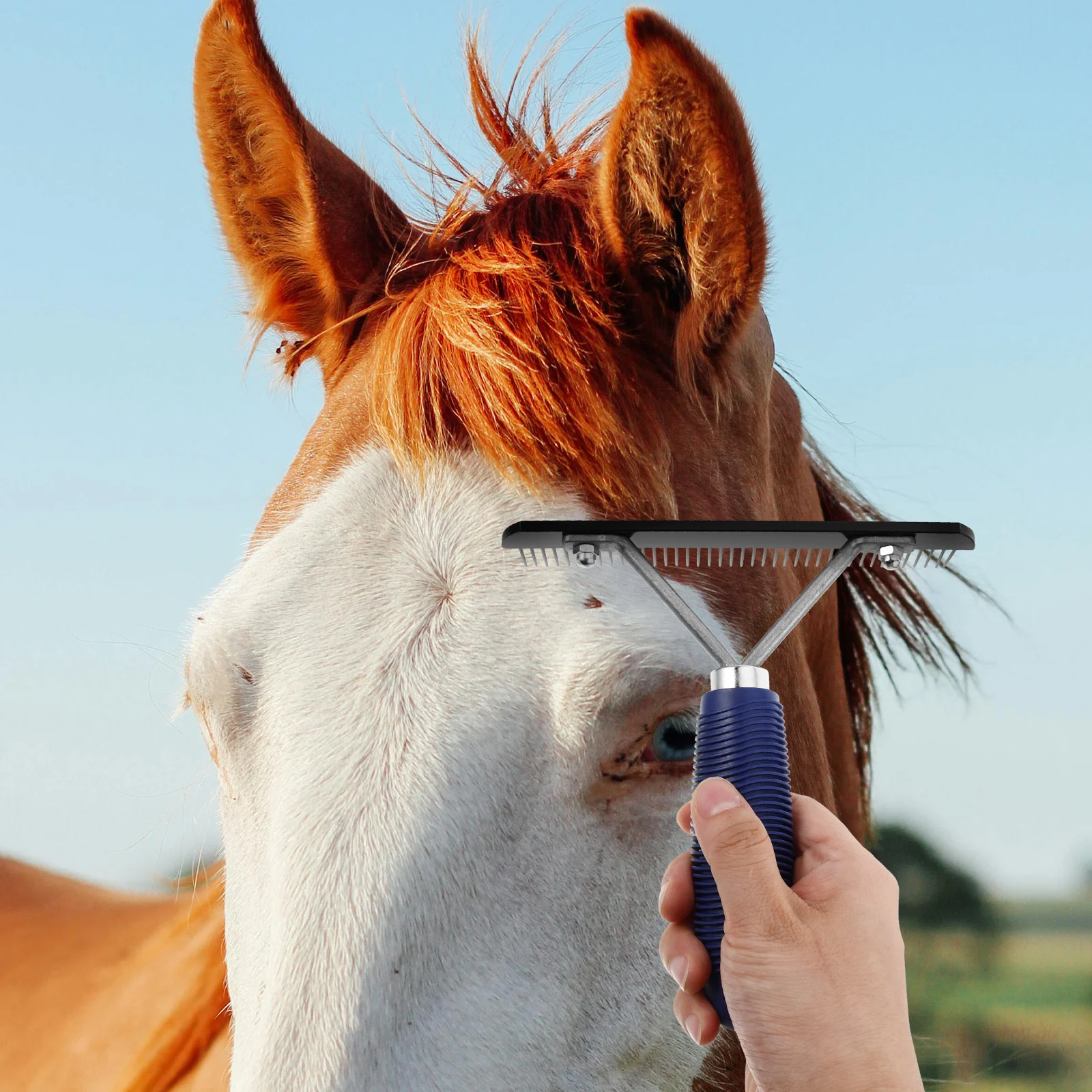 فرشاة إزالة شعر الحصان، مشط من الفولاذ المقاوم للصدأ، تصميم مريح متين، أداة تنظيف الحصان #2