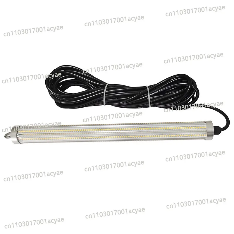 200W set fish light squid fishing light 12V waterproof LED fish lure light IP68 underwater light, outdoor