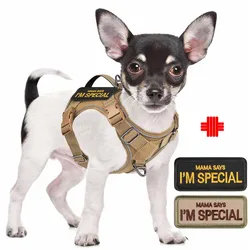 Small Tactical Dog Harness for No Pull Outdoor Training with Handle - Military K9 Puppy Vest Harness and Leash Set