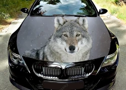 wolf animal Car Hood Decal Vinyl Sticker Graphic Wrap Decal Graphic Hood Decal for Most Vehicles Custom Graphics