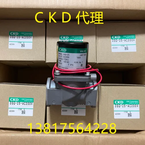 CKD Solenoid Valve DSG-15-AC200V DSG-20-AC200V DSG-25-AC200V Genuine