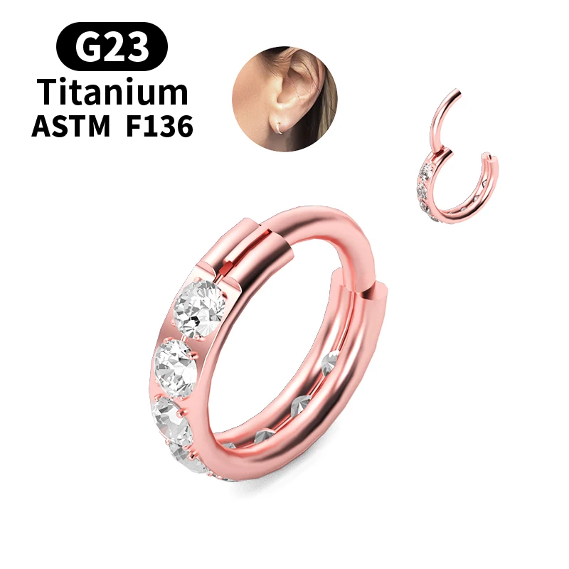 G23 Titanium Piercing Nose Rings Body Piercing for Nose  Jewelry for Women  Earrings