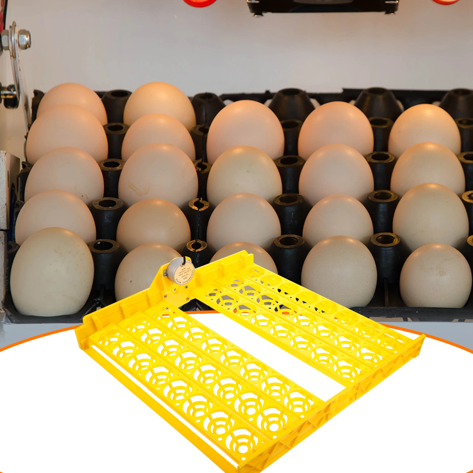 

Incubator Accessories Egg Incubation Tray Chicken Part for Eggs Plastic Turning Holder