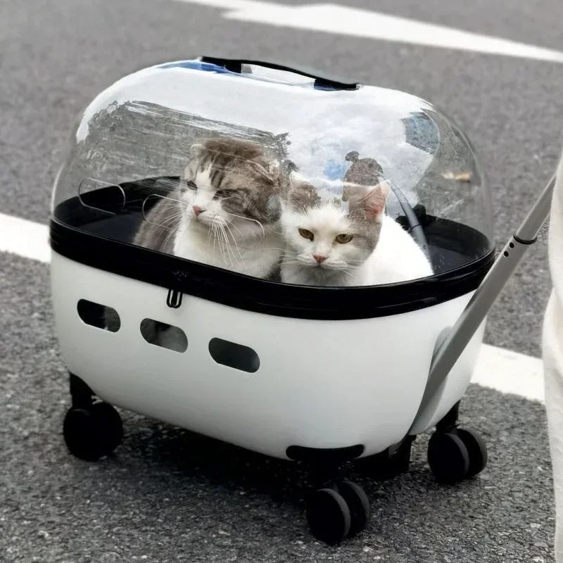 Suitcases Cat Backpack Carrier Pet Bag Cat Supplies Cat Travel Bag Space Carrier Pet Cage Carry on Luggage with Wheels Travel